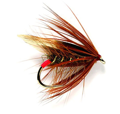 Fulling Mill mouche humide - Red Arsed Peter