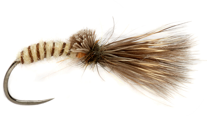 Mouche sèche Fulling Mill - Procter's Caddis Emerger Cream Barbless