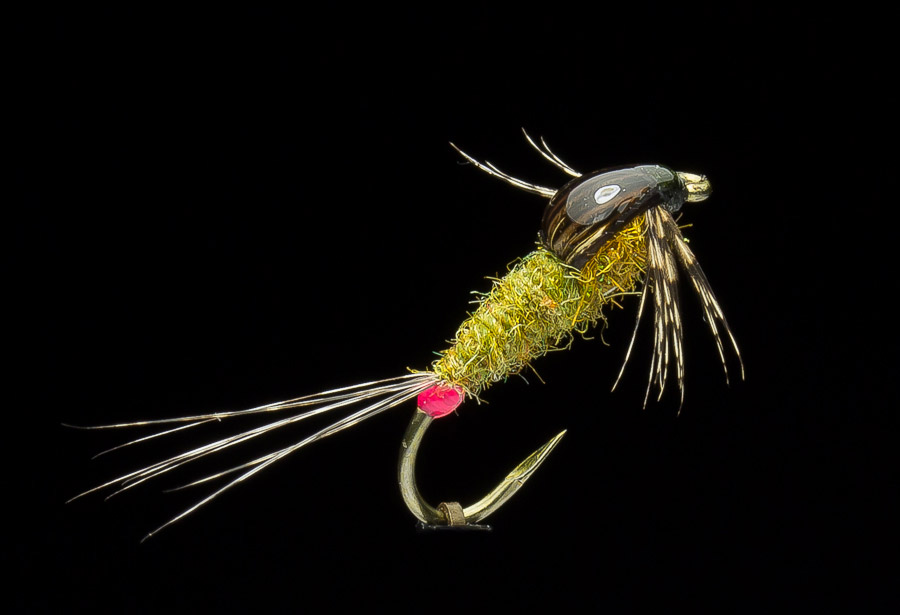 Whiting_Blog_Trockenfliege_Lachmann_4 - Whiting Farms - Qualität für Fliegenbinder