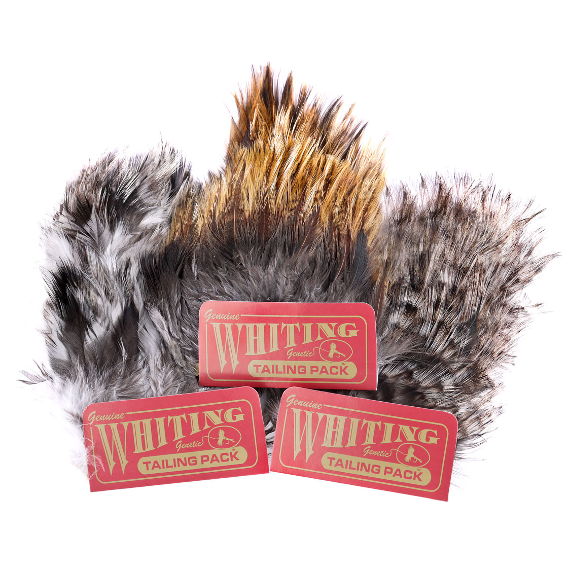 Whiting Coq de Leon Tailing Pack