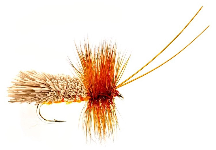 Mouche sèche Fulling Mill - Goddard Sedge amber