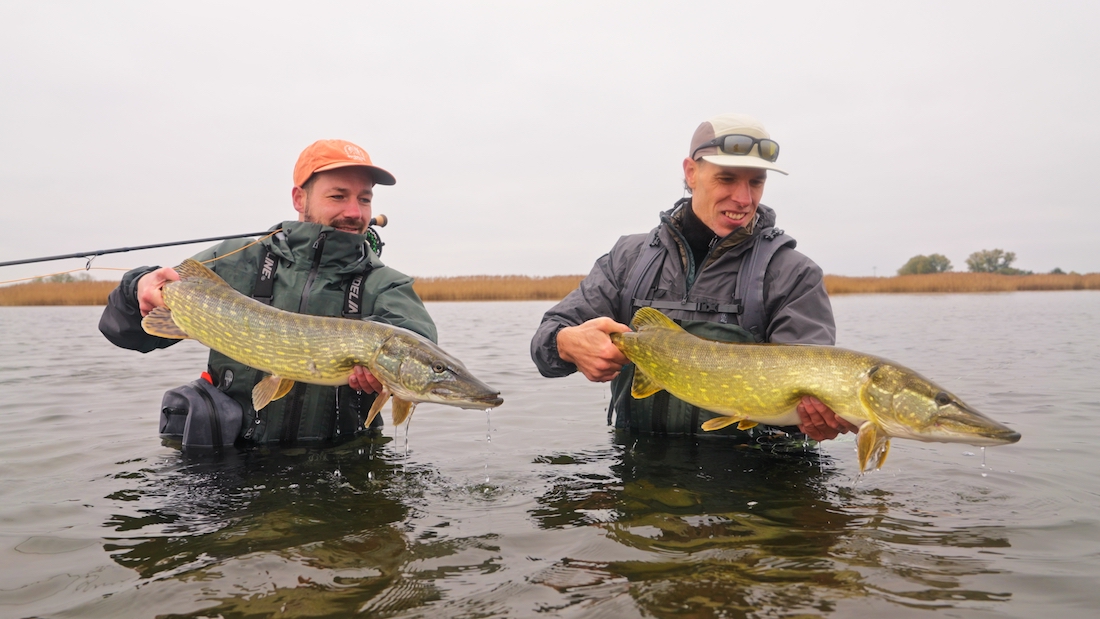 Blog_Guideline_Embrace_Pike_Kit_2 - Wir testen: Guideline Embrace Pike Kit - Ready To Fish!