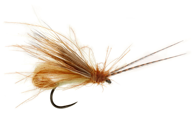 Mouche sèche Fulling Mill - McPhail Bubble Wing Caddis Cinnamon Barbless