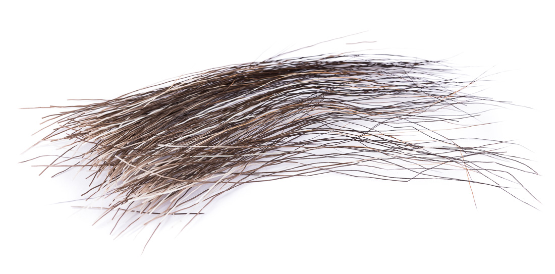 Wapsi Moose Mane - Crinière d'élan - "antennes" parfaites