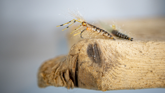 Vidéo de montage « Natural Shrimp Fly » pour la truite de mer