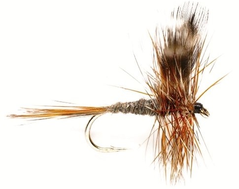 Fulling Mill mouche sèche - Adams