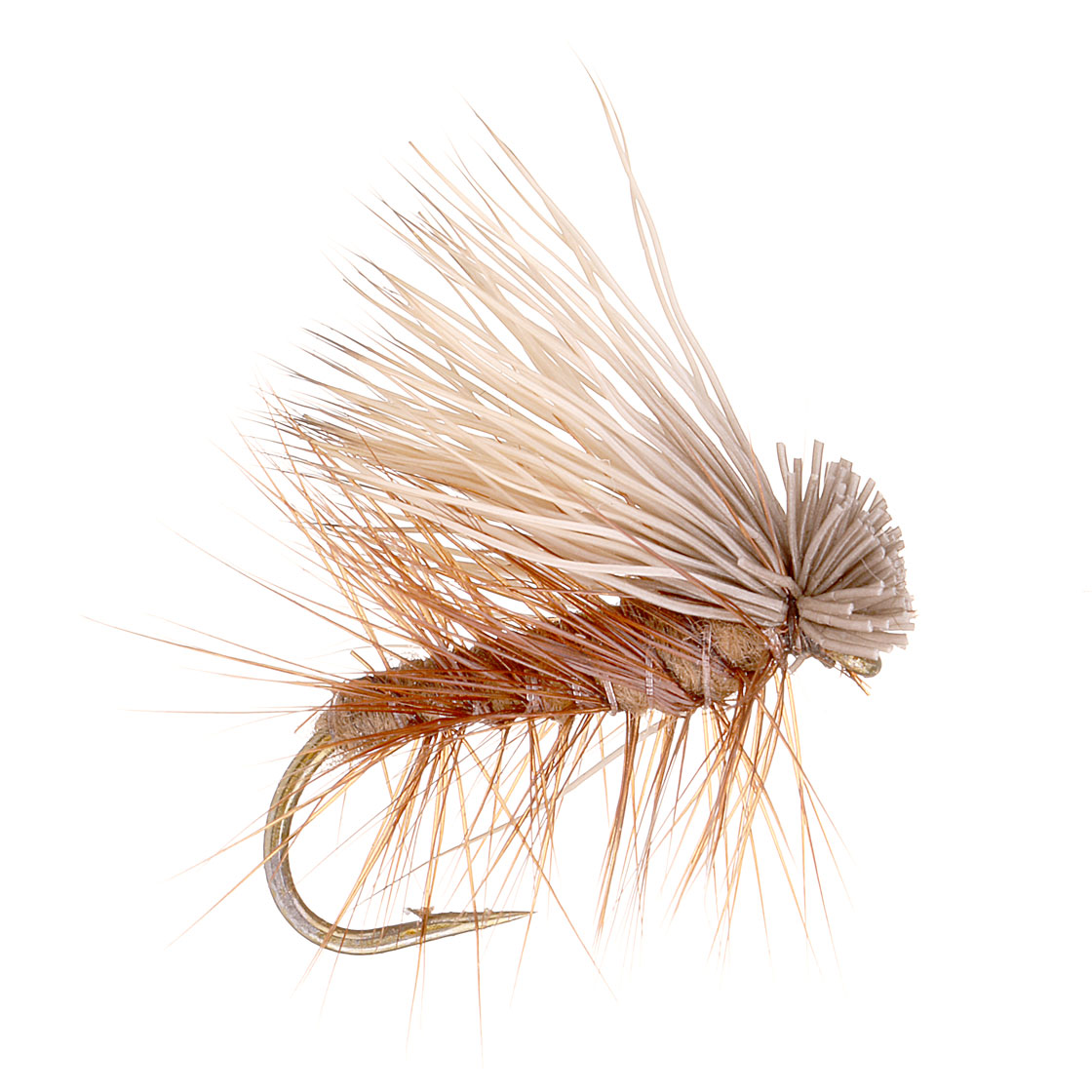 Guideline Mouche sèche - Elk Caddis brown