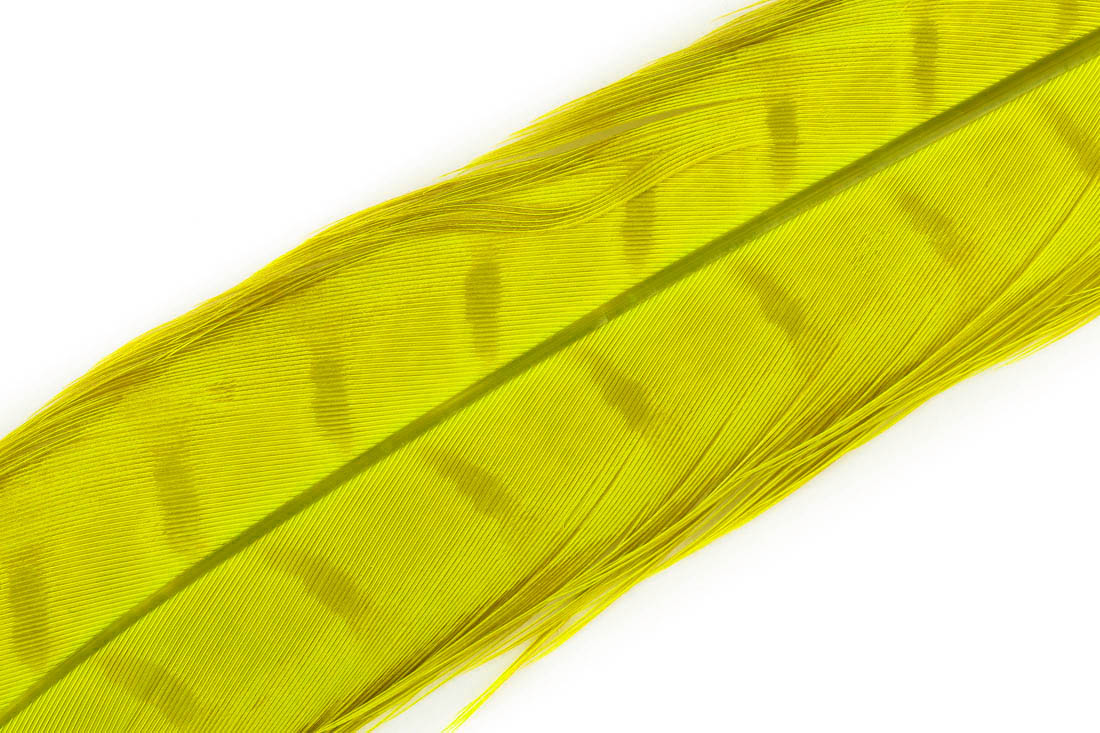 fl. yellow extracted