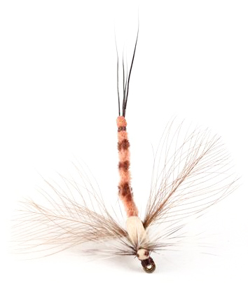 Guideline Mouche sèche - Danica Spent Spinner