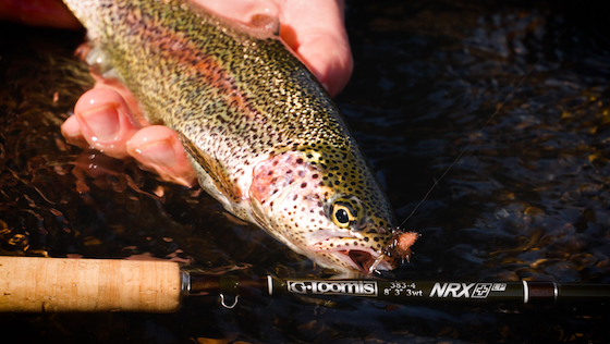 G.Loomis NRX+ LP - Canne à pêche en rivière testée dans la pratique