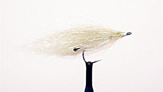 Vidéo de montage : Polar Shrimp