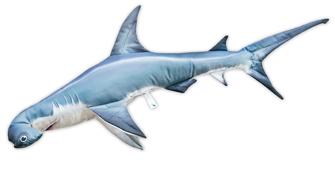 Coussin poisson Doudou requin marteau 110cm