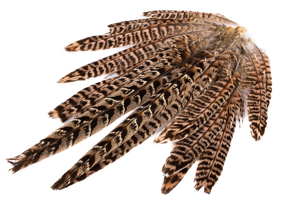 Hareline Ringneck Hen Pheasant Tail Clump Plumes de la queue