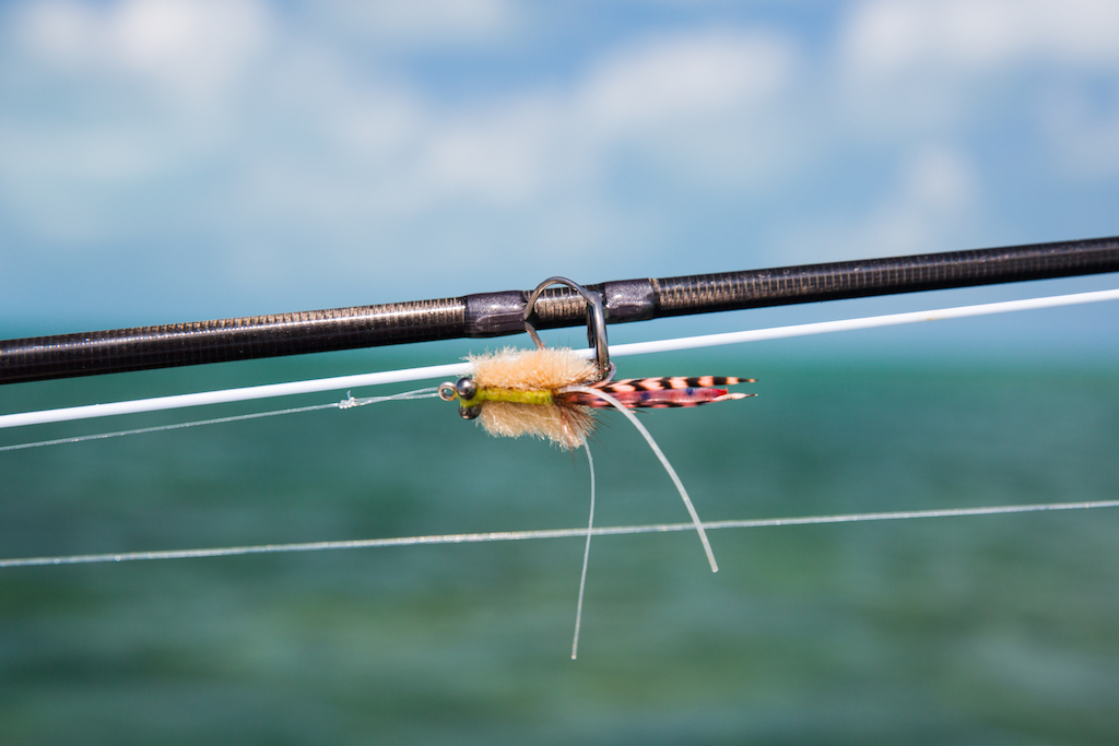 YT-Video-Permit-Triggerfish2 - Fit fürs Salzwasser! Tipps & Tricks fürs Fliegenfischen in den Tropen. Permit/Triggerfish