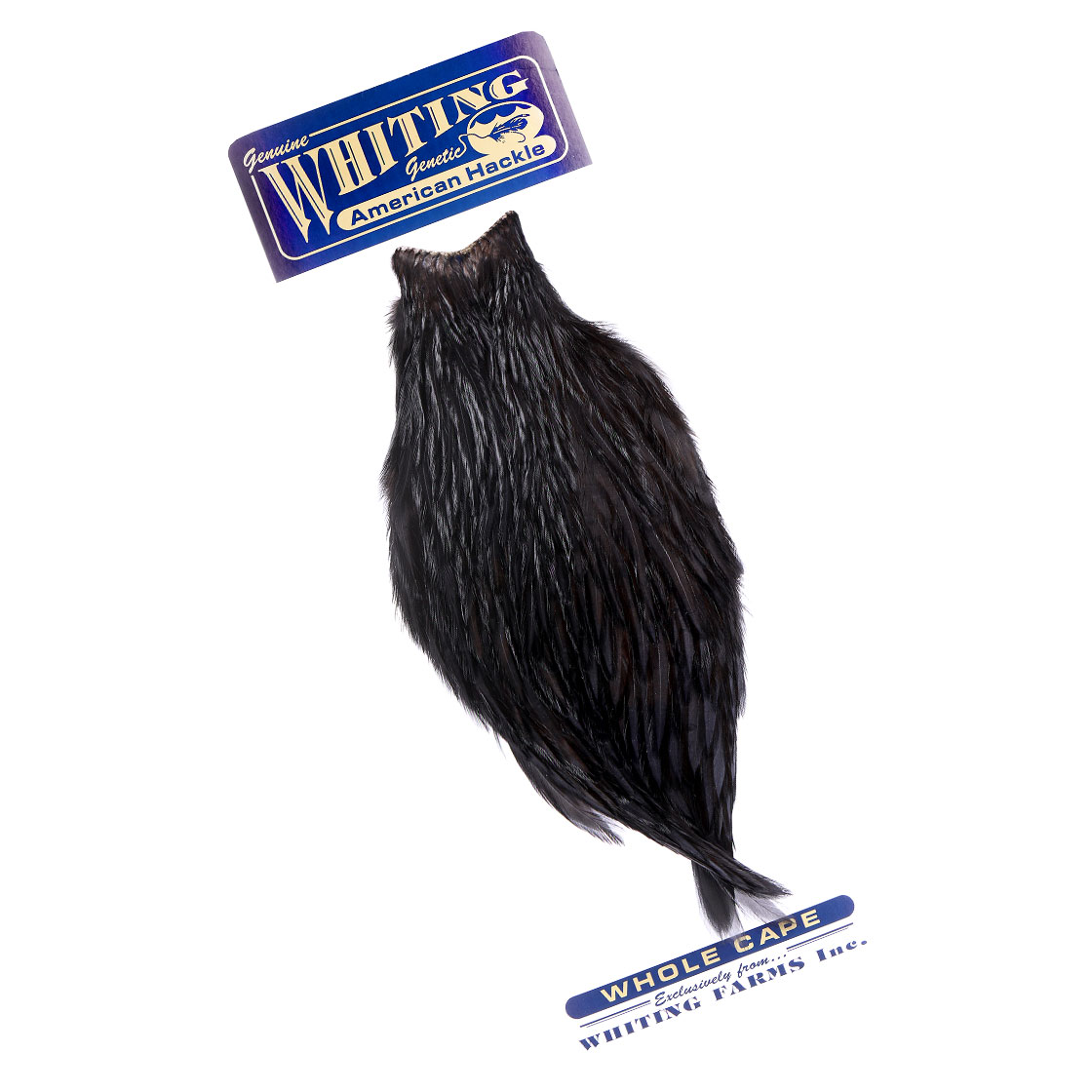 P-25380_Whiting-American-Rooster-Cape_black black