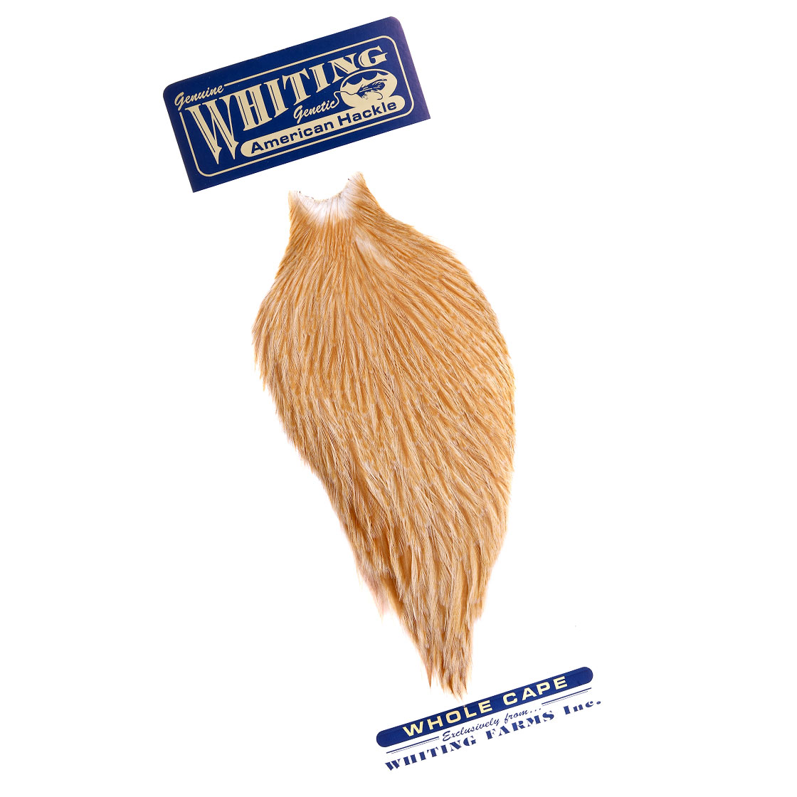 P-25380-26_medium-ginger medium ginger