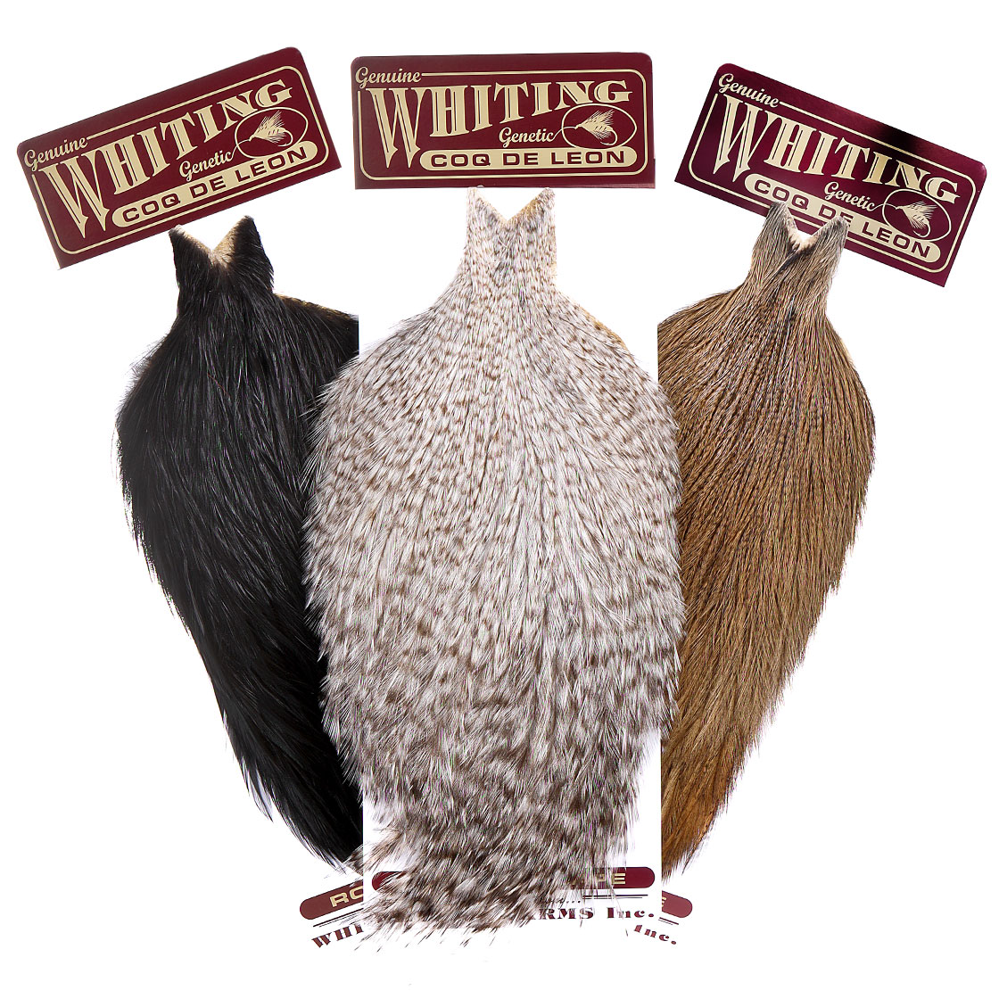 Whiting Coq de Leon Cape