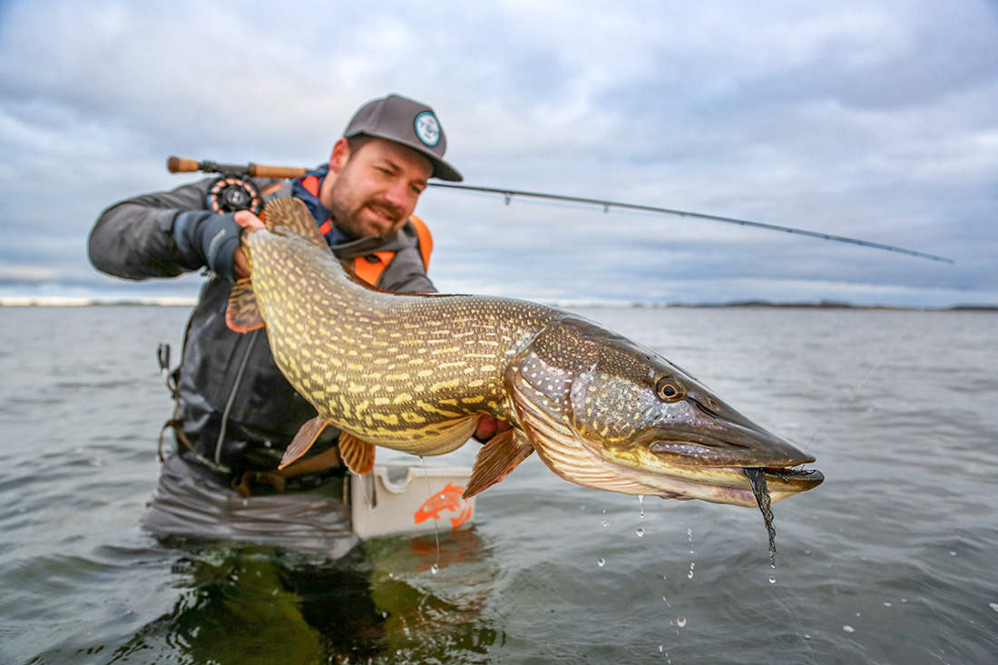 Hecht-Workshop-Kurs-Rugen-Blog-3 - adh-fishing Kurs: Hecht auf Rügen