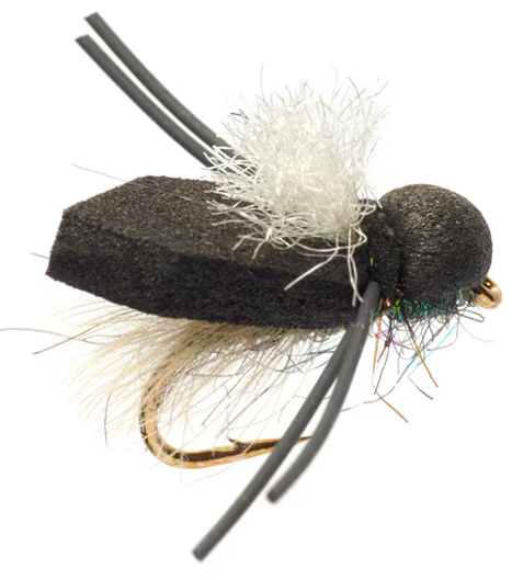 Fulling Mill Tactical Terrestrials Procters Blue Bottle White Wing Mouche sèche