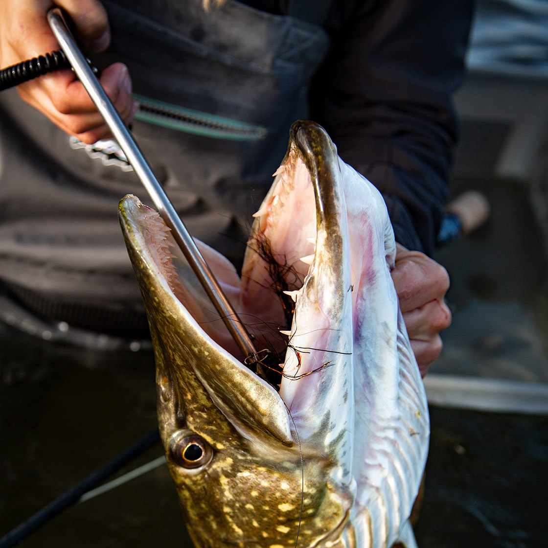 Savage Gear hook-removing pliers