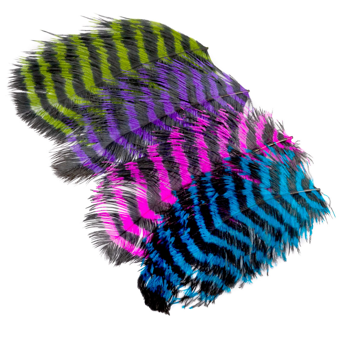 spirit river ostrich jailhouse titel neu