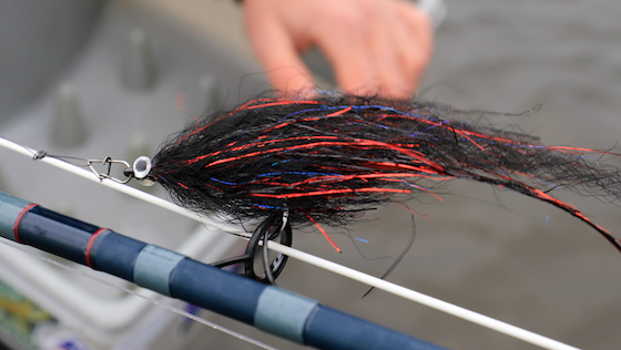 Vidéo de montage « Bleeding Black Baitfish » Streamer pour brochet avec Martin Rieck