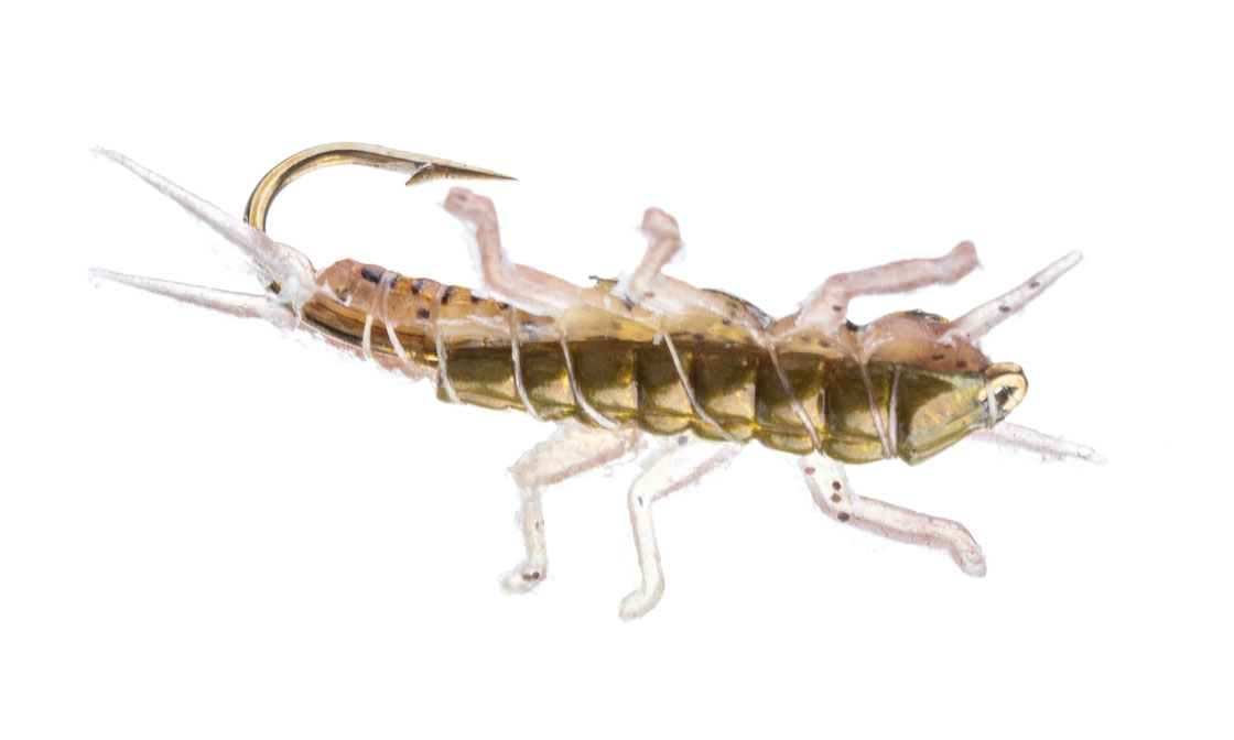 Vania Realistic Golden Stonefly Jig Nymphes