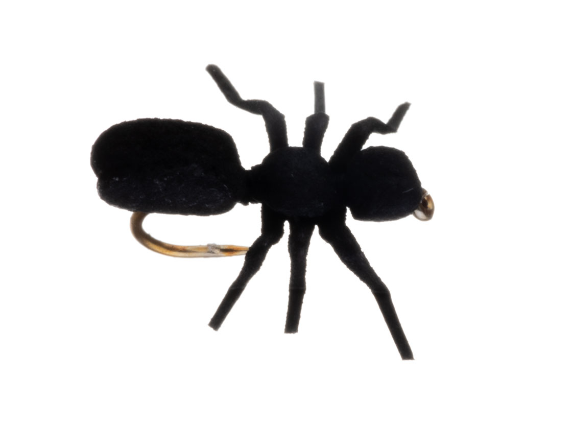 Vania Realistic True Ant Fourmi mouche sèche black