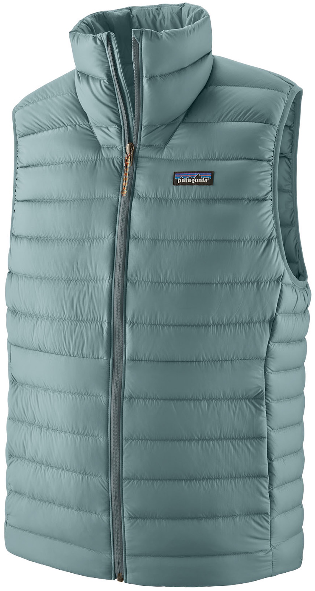 Gilet Down Sweater de Patagonia BLSG
