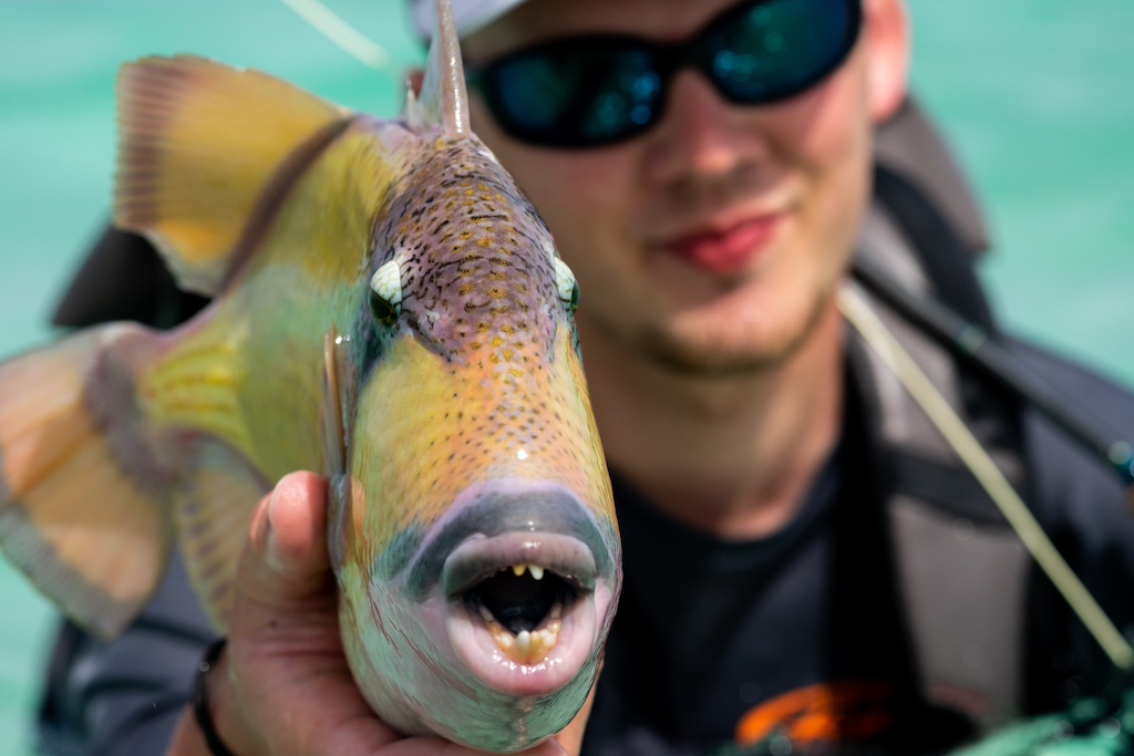 YT-Video-Permit-Triggerfish8 - Fit fürs Salzwasser! Tipps & Tricks fürs Fliegenfischen in den Tropen. Permit/Triggerfish