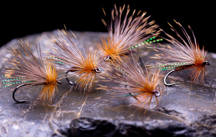 Whiting_Blog_Trockenfliege_Lachmann_3 - Whiting Farms - Qualität für Fliegenbinder