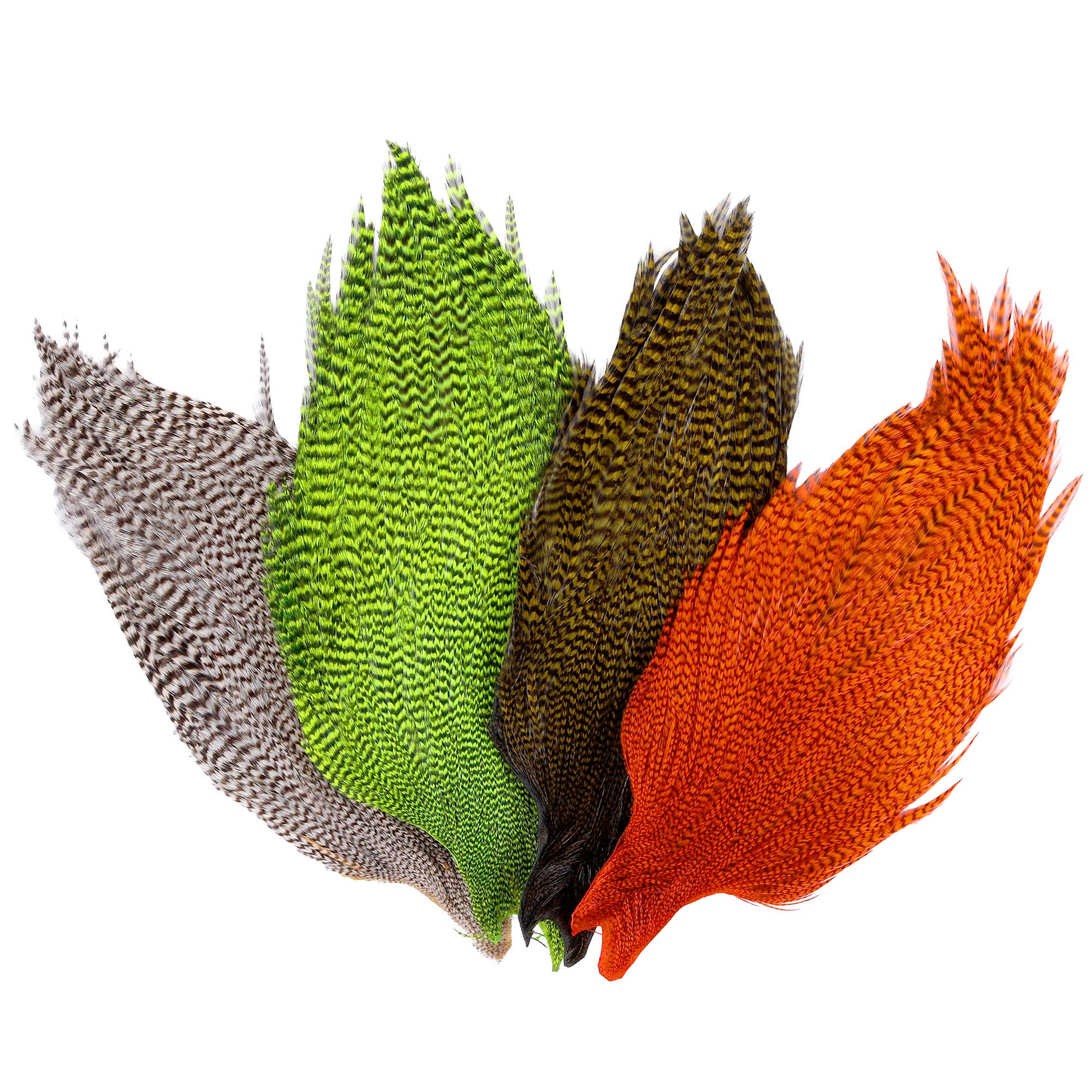 Wapsi Ewing Grizzly Rooster Capsules entières Qualité supérieure