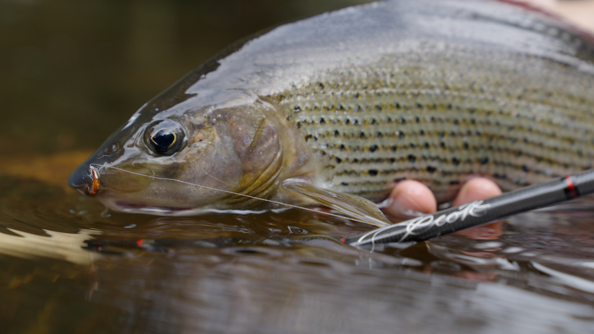 Scott_Blog_50_Jahre - Scott Fly Rod Company - 50 Jahre Handwerkskunst