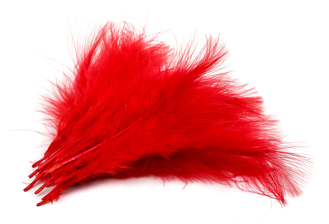 18 red