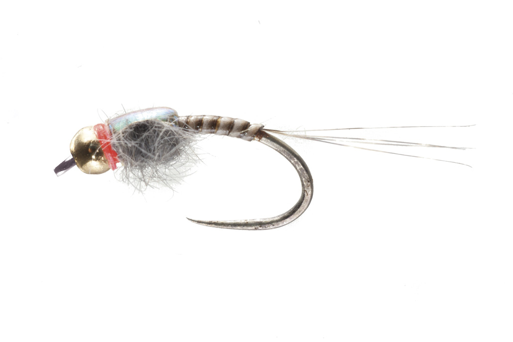 Soldarini Nymphes en tungstène - Quill Flashback Red Neck