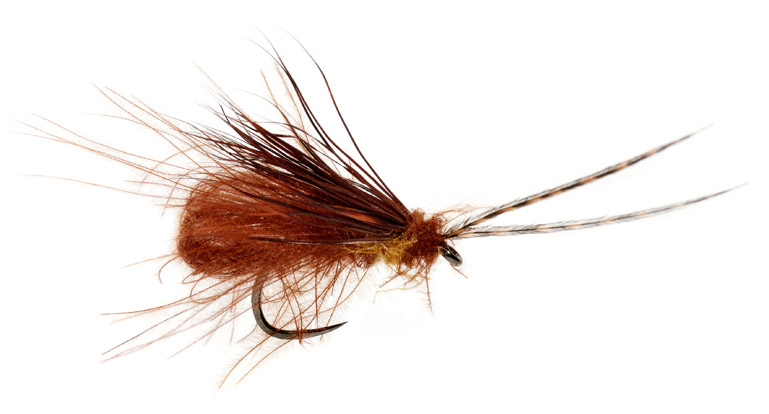 Mouche sèche Fulling Mill - McPhail Bubble Wing Caddis Chocolate Drop Barbless