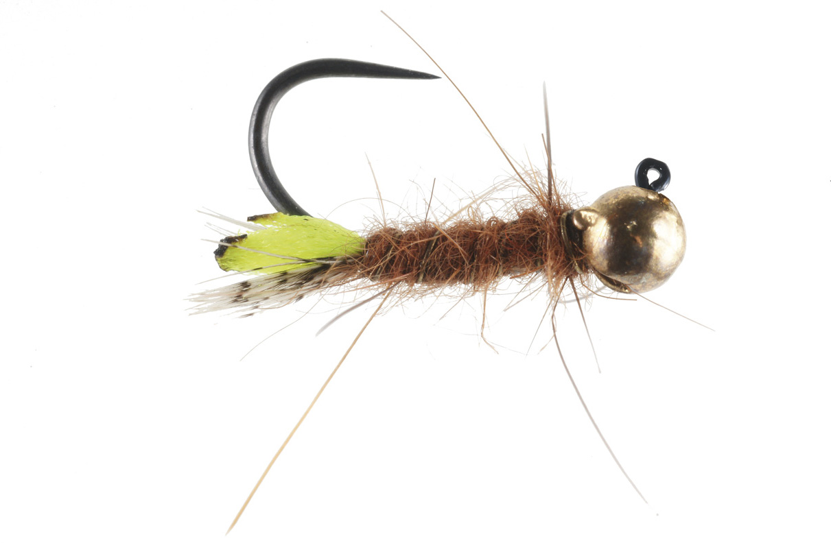 Soldarini Tungsten Jig Nymphes - Peeping Caddis Gold Bead