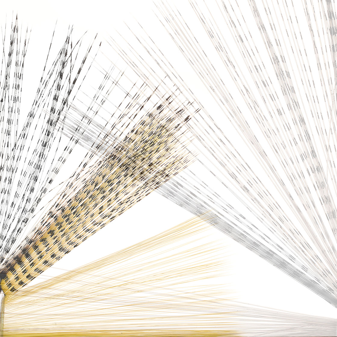 Microfibres Soldarini