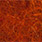 burnt orange