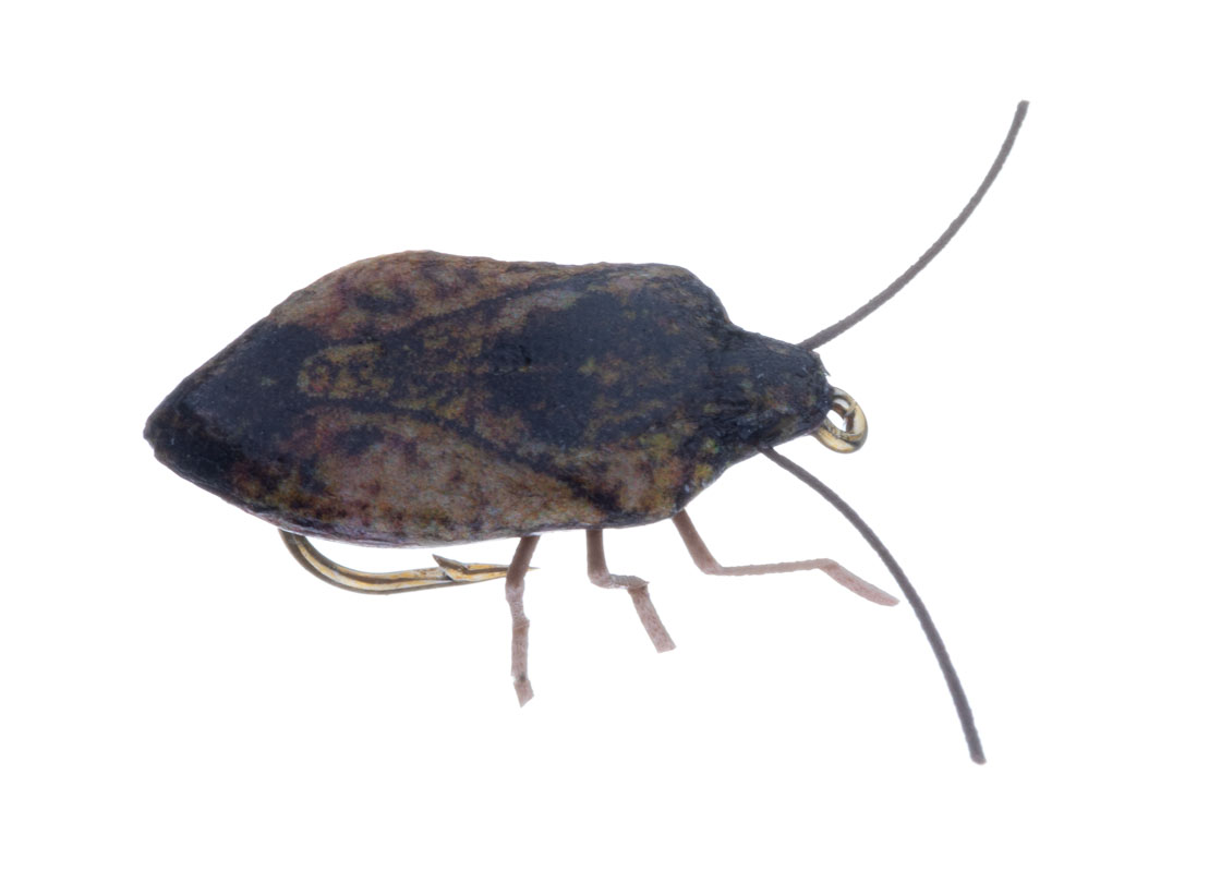 Vania Realistic Stink Bug mouche sèche brown