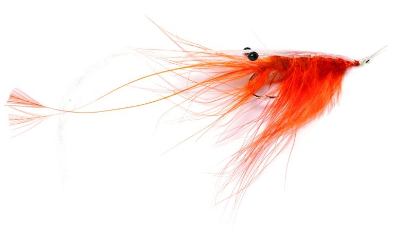 Fulling Mill mouche à truite de mer Oeland Spey Shrimp orange
