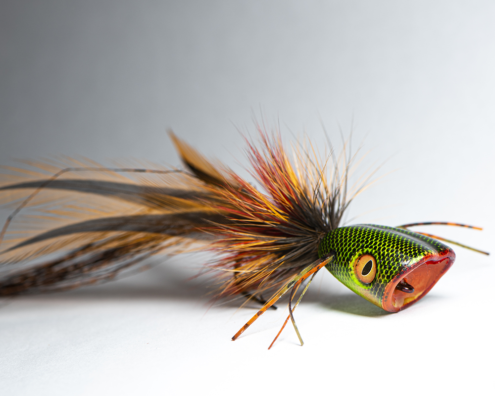 Whiting_Blog_Popper - Whiting Farms - Qualität für Fliegenbinder