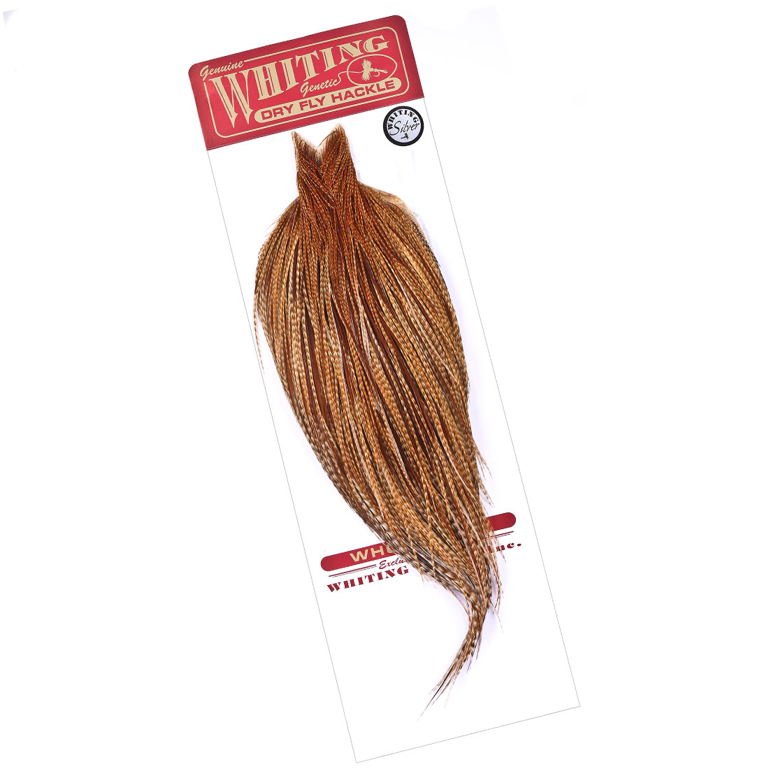 barred dark ginger