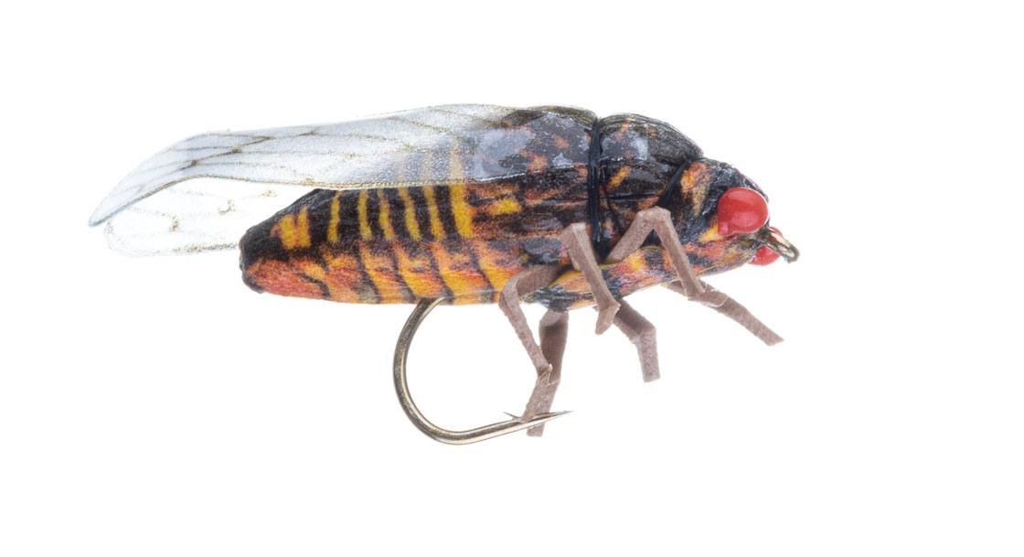Vania Realistic Salmon Cicadia Soft Leg Dryfly Mouche sèche