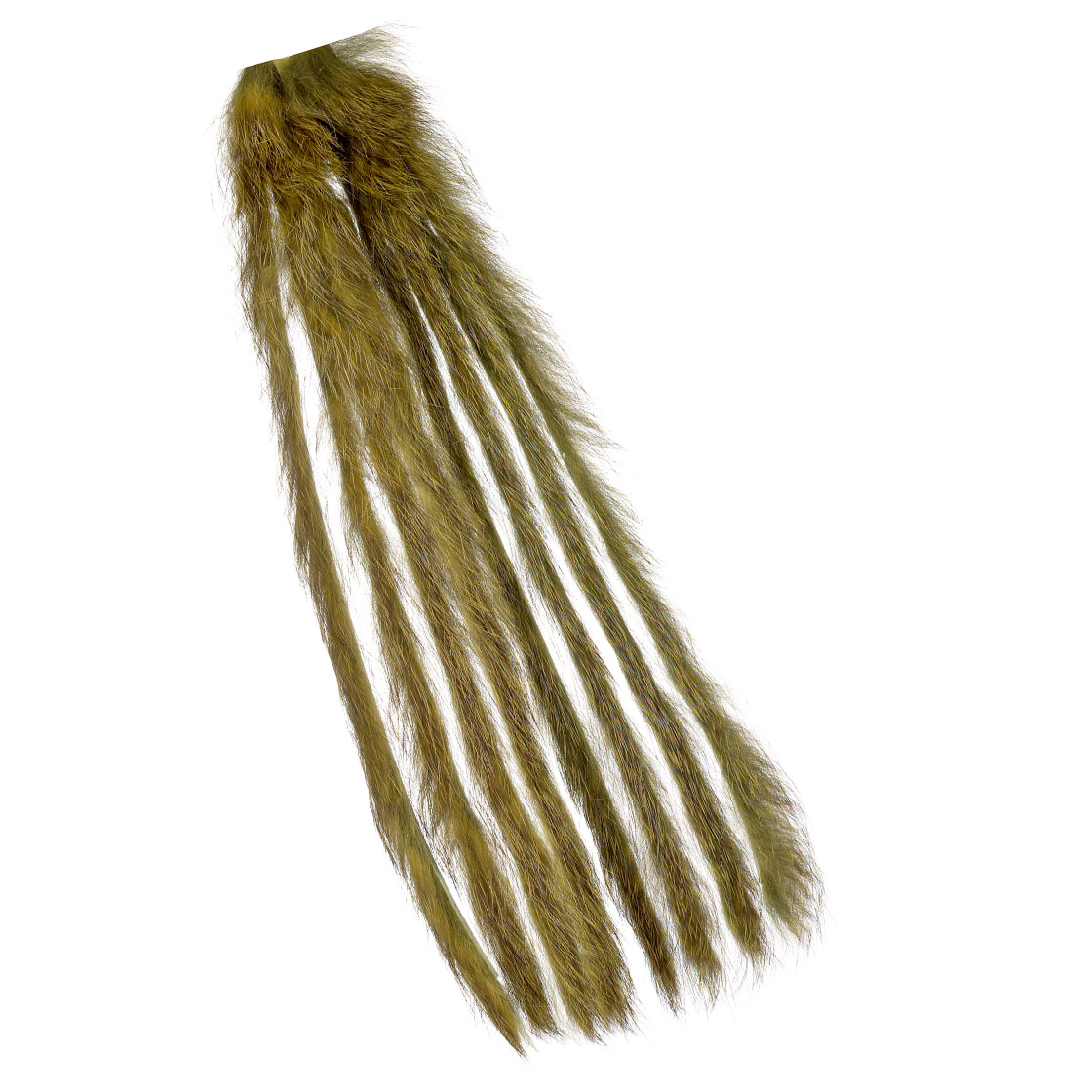 Olive Grizzly