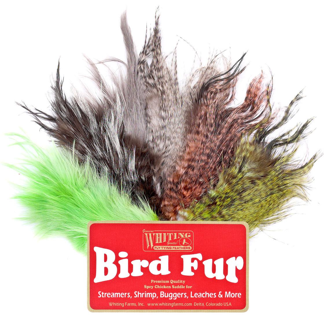 Fourrure d'oiseau Whiting