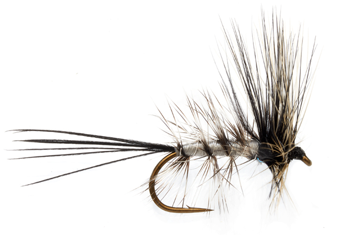 Mouche sèche Fulling Mill - Jackie's Spent Mouche de mai