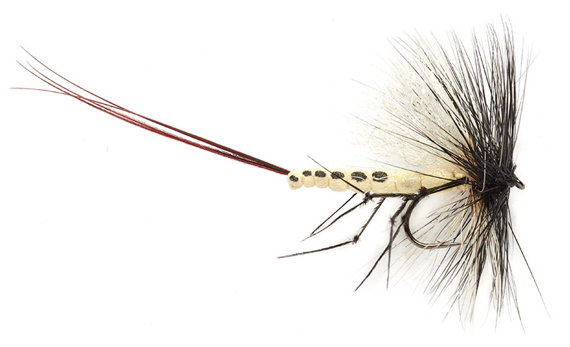 Mouche sèche Fulling Mill - McPhail Spent Mayfly