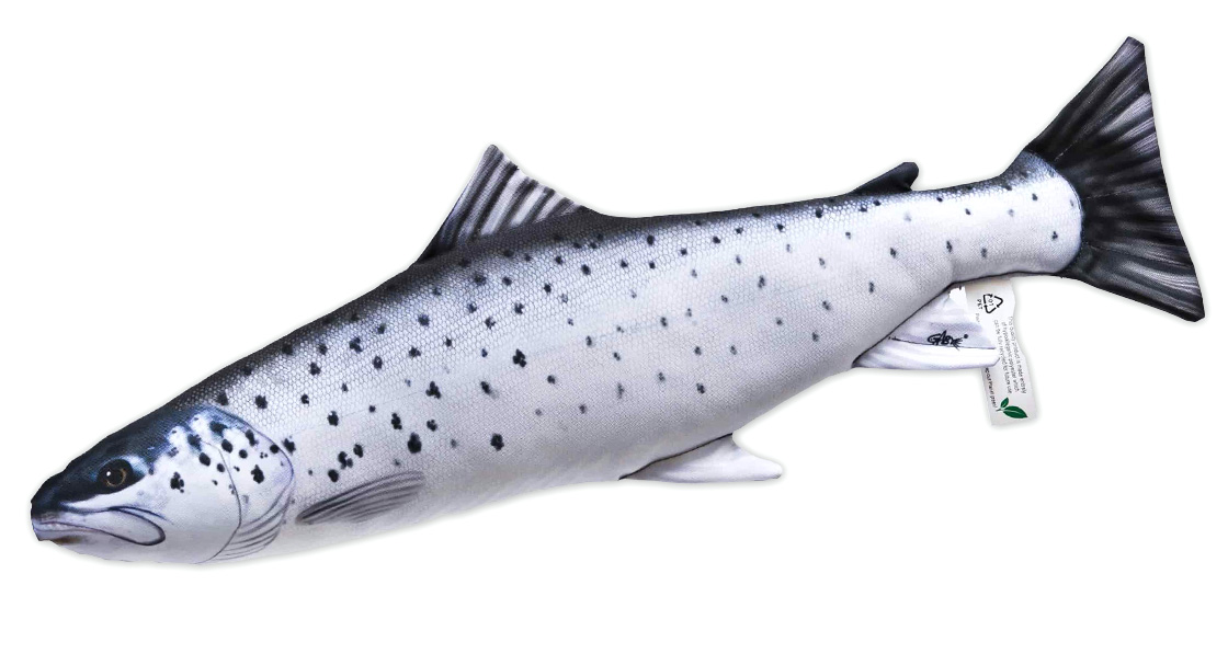 Coussin poisson Doudou truite de mer 51cm