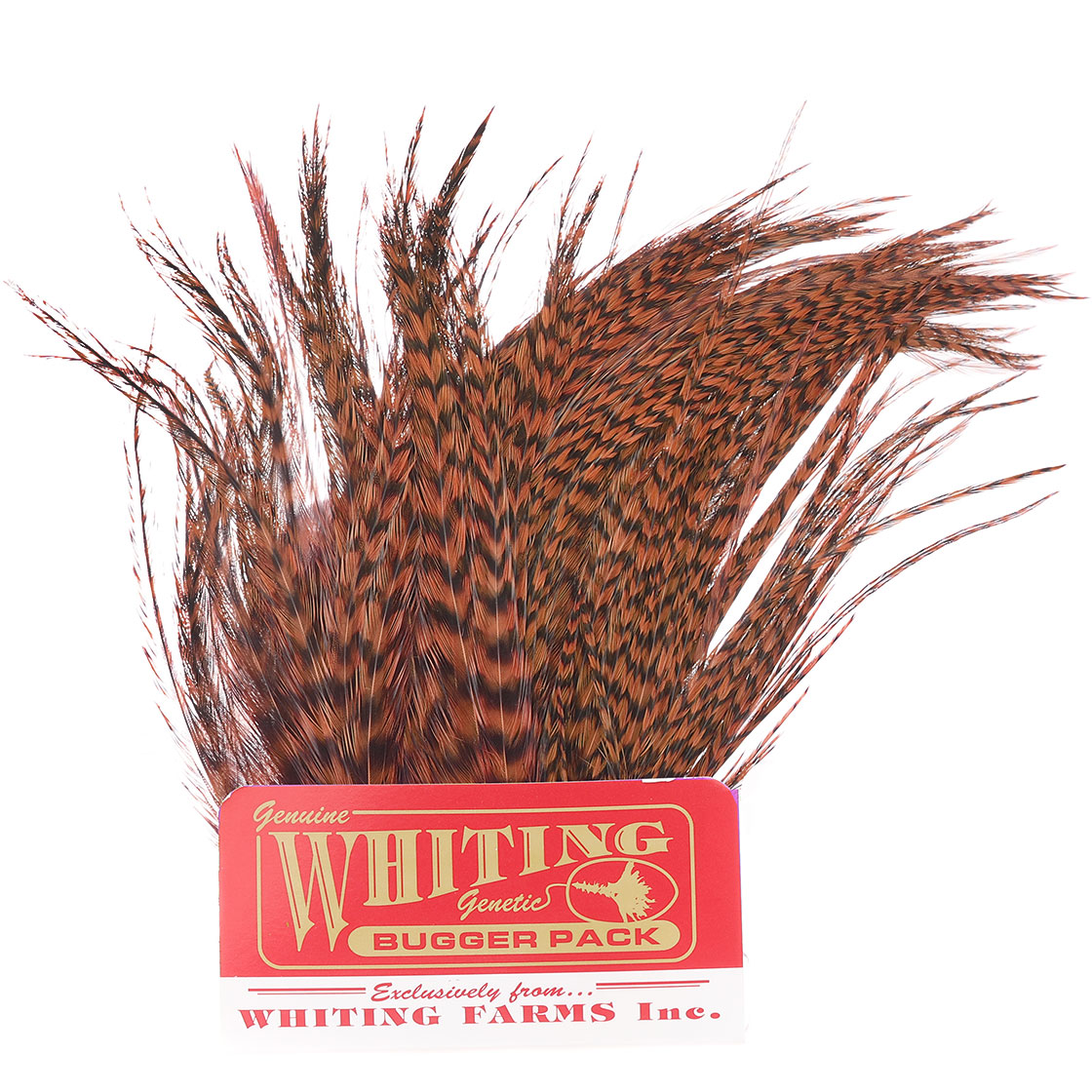 grizzly dyed natural brown